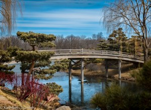 Japenese Garden Bridge-
