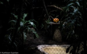 Shot this image at the zoo!